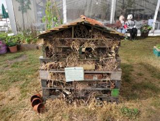  5 Star Insect Hotel